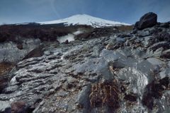 週末の富士山（新作639）