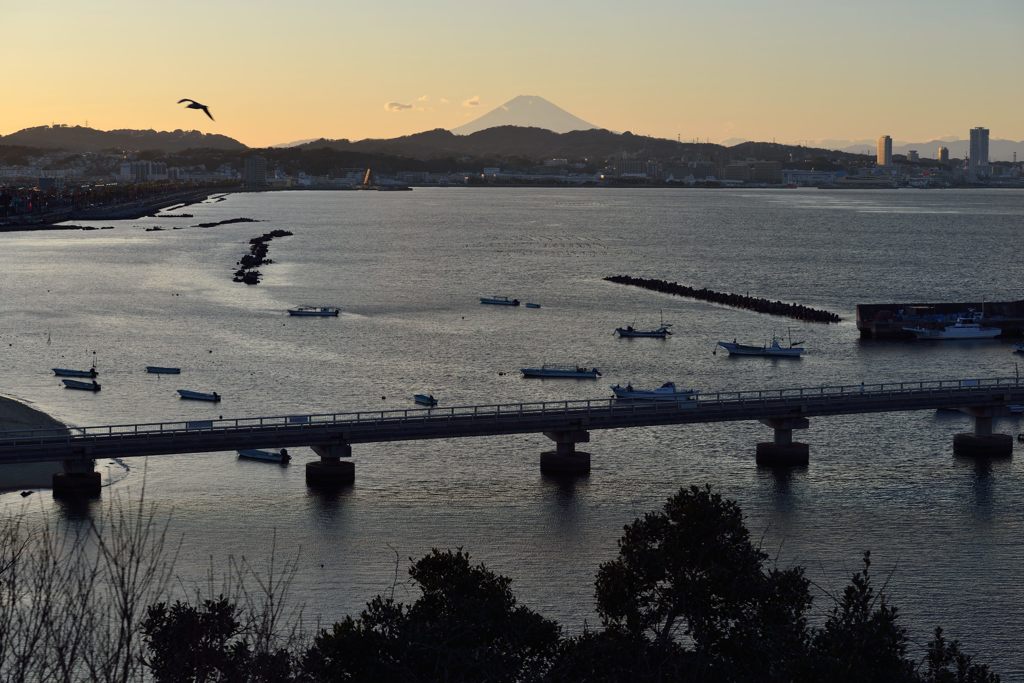 平日の富士山650