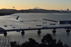 平日の富士山650