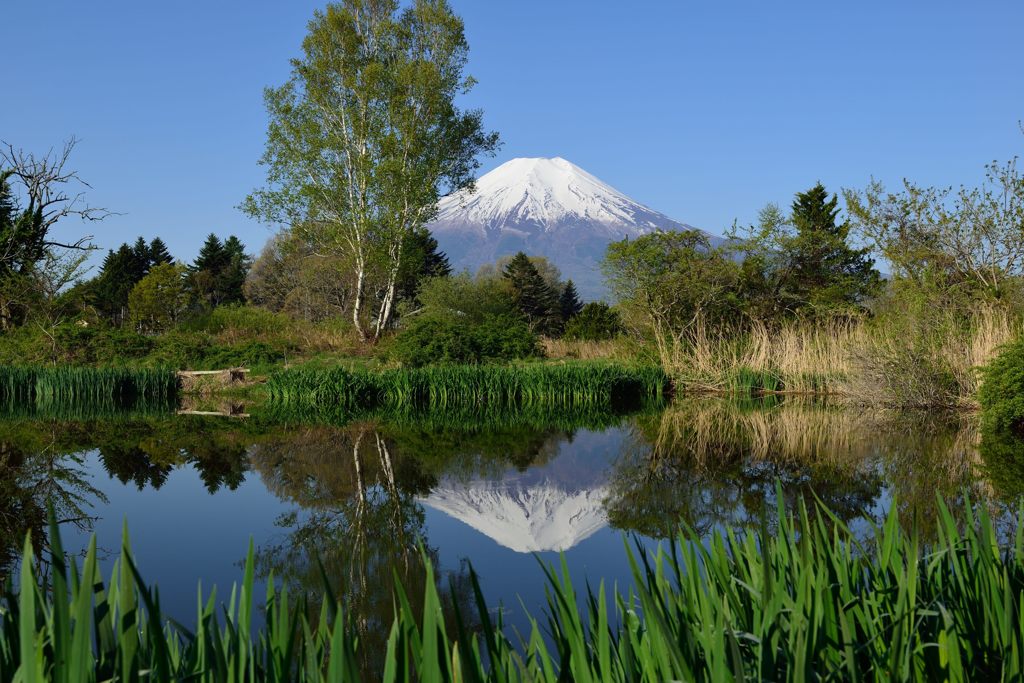 週末の富士山（新作830）
