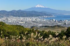 平日の富士山506