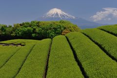 週末の富士山（新作606）