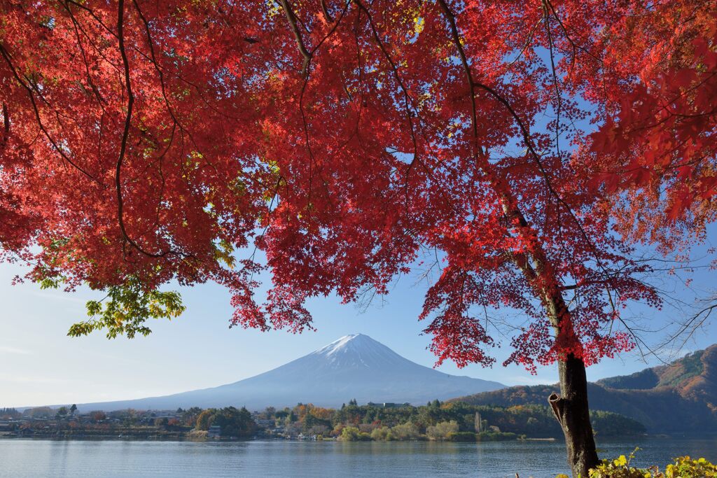平日の富士山896