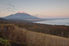 平日の富士山890