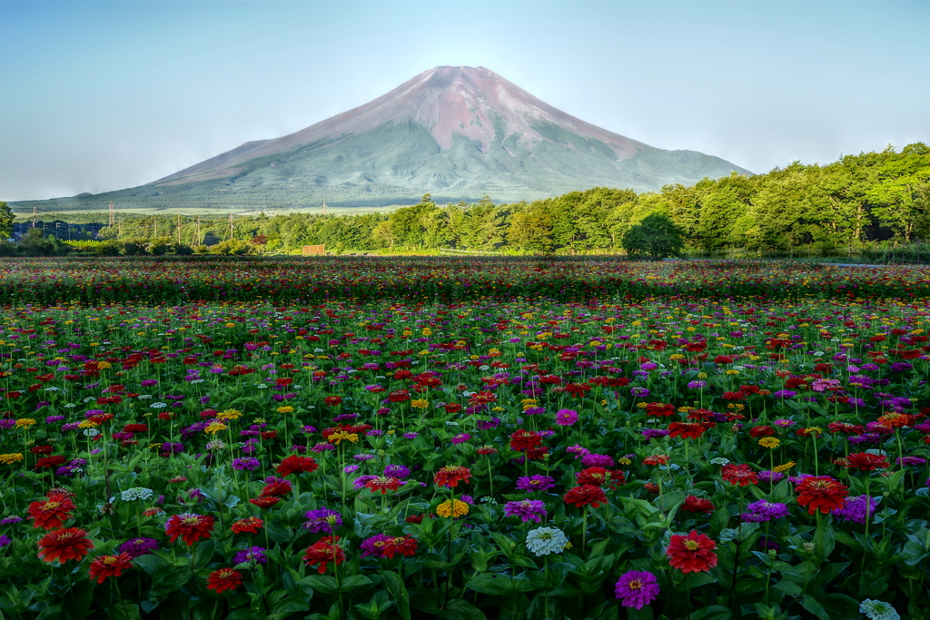 平日の富士山87