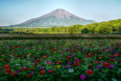 平日の富士山87