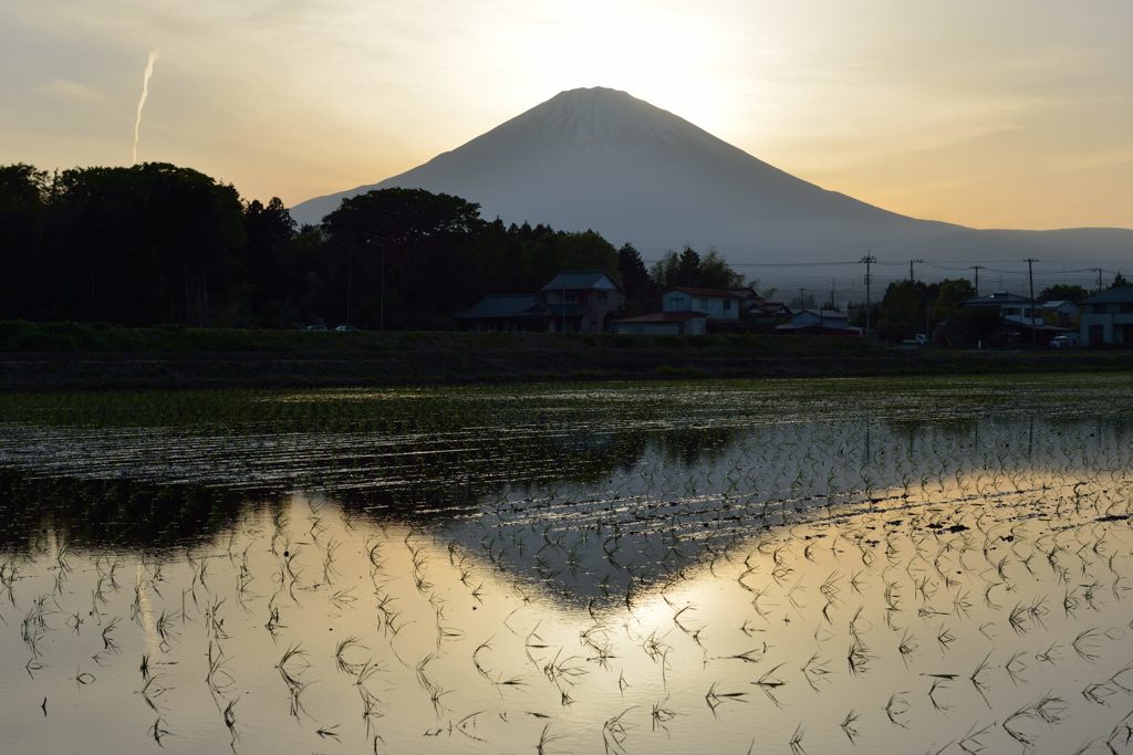 週末の富士山（新作876）