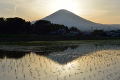 週末の富士山（新作876）