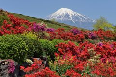 週末の富士山（新作625）