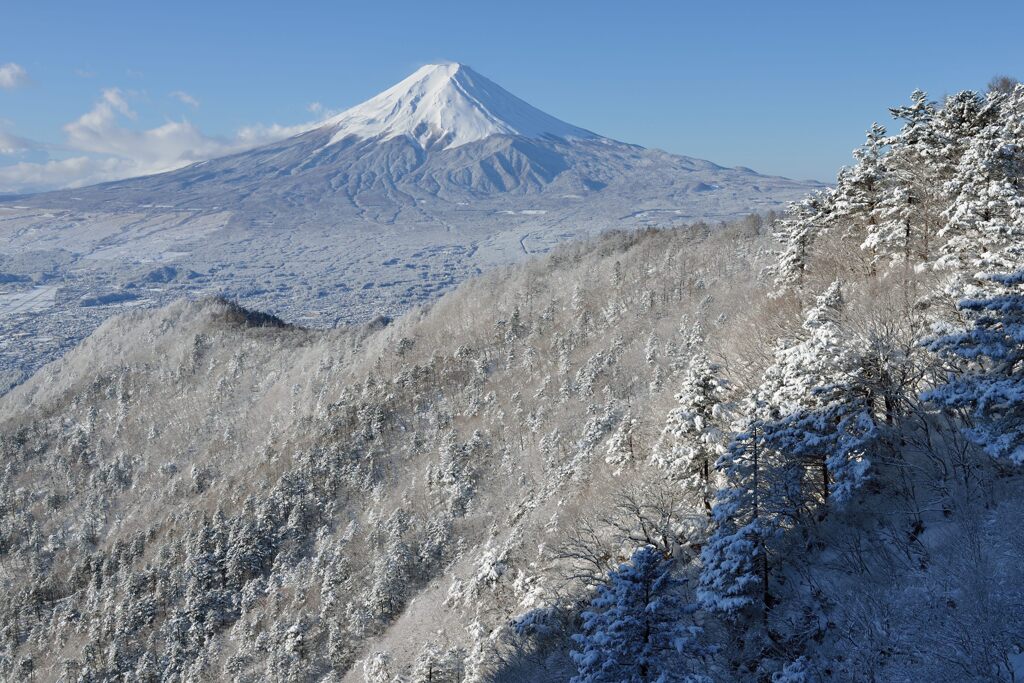 週末の富士山（新作1375）