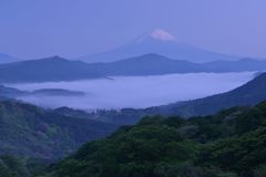 平日の富士山298