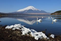週末の富士山（新作799）