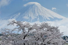 週末の富士山41