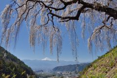 週末の富士山（新作1145）