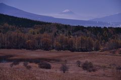 週末の富士山（新作1059）