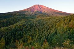 平日の富士山381
