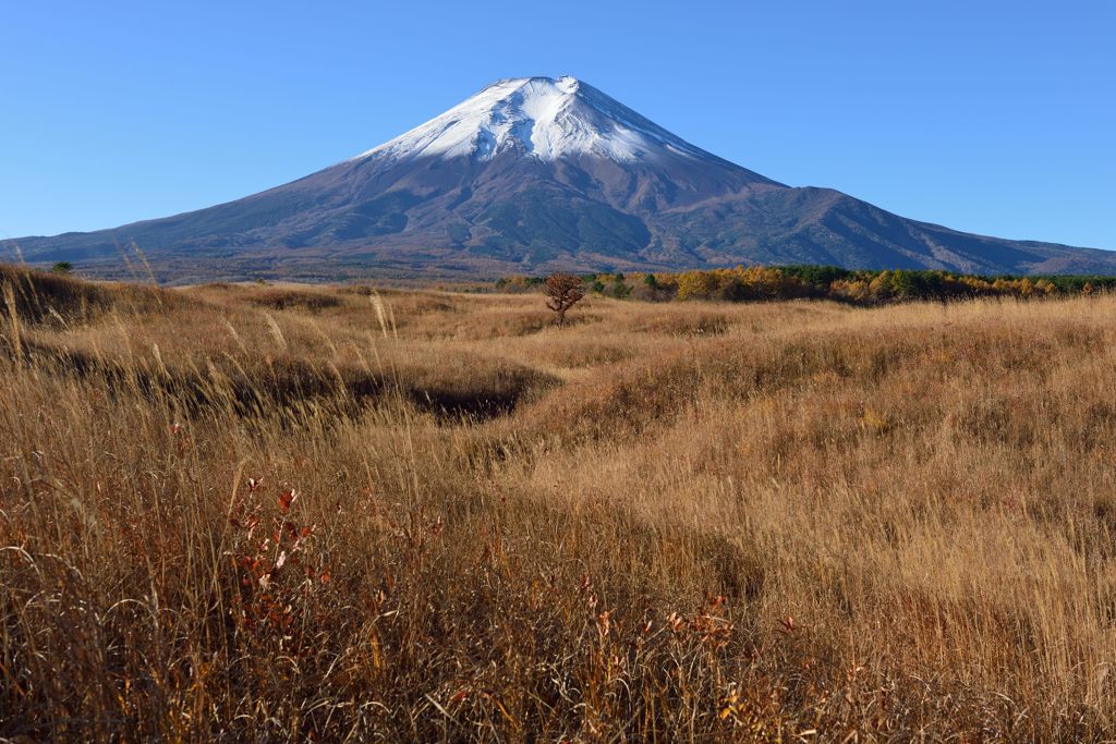 週末の富士山（新作679）
