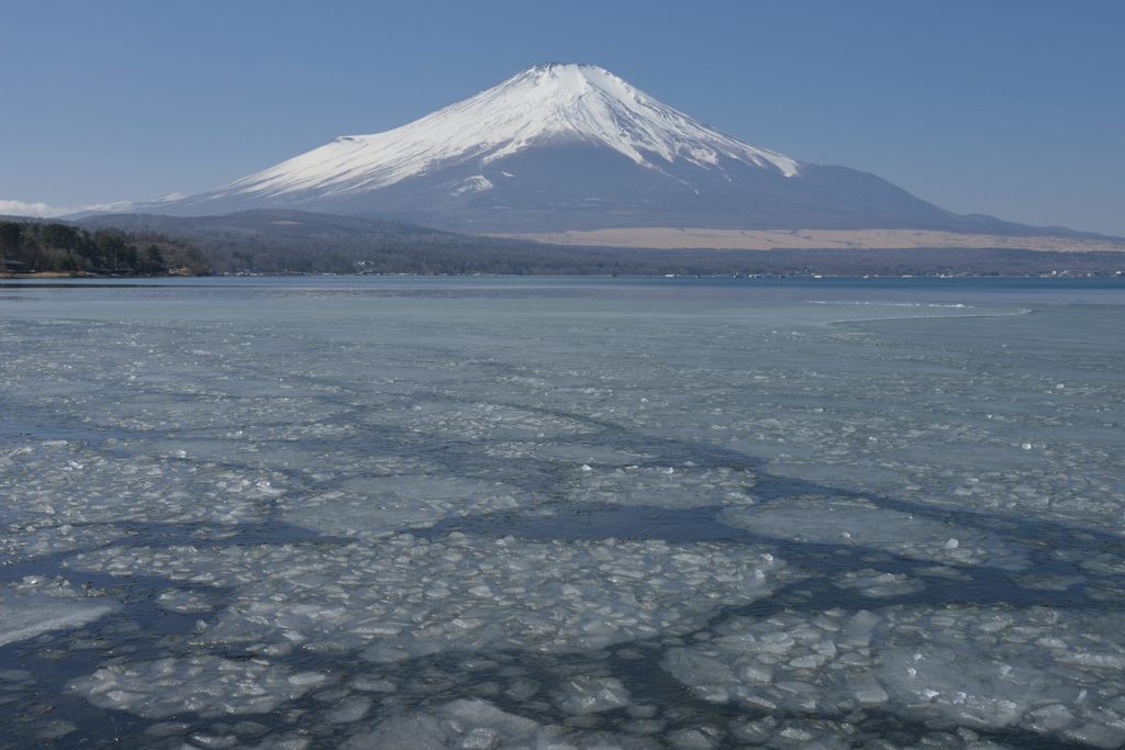 週末の富士山（新作813）