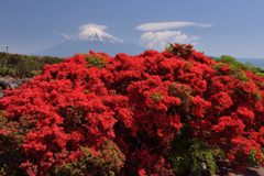 週末の富士山（新作602）