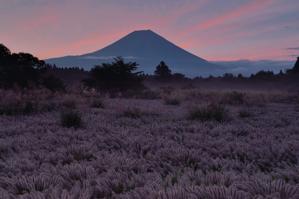 平日の富士山375