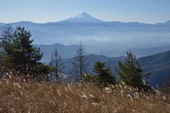 週末の富士山216