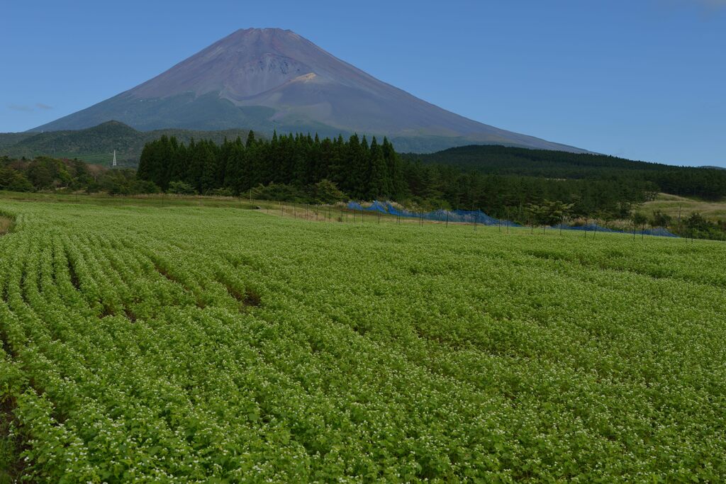週末の富士山152