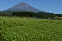 週末の富士山152