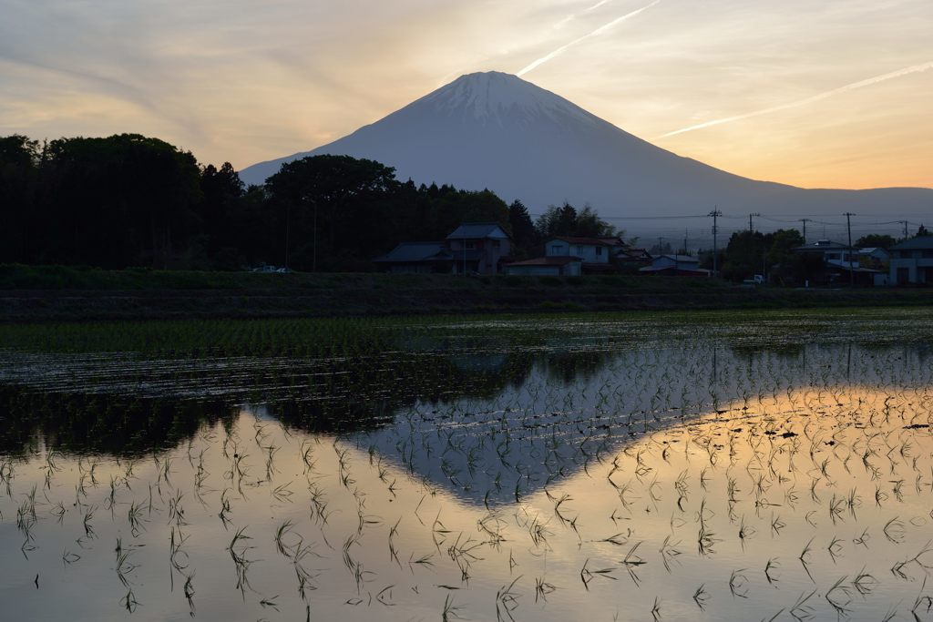 週末の富士山（新作877）