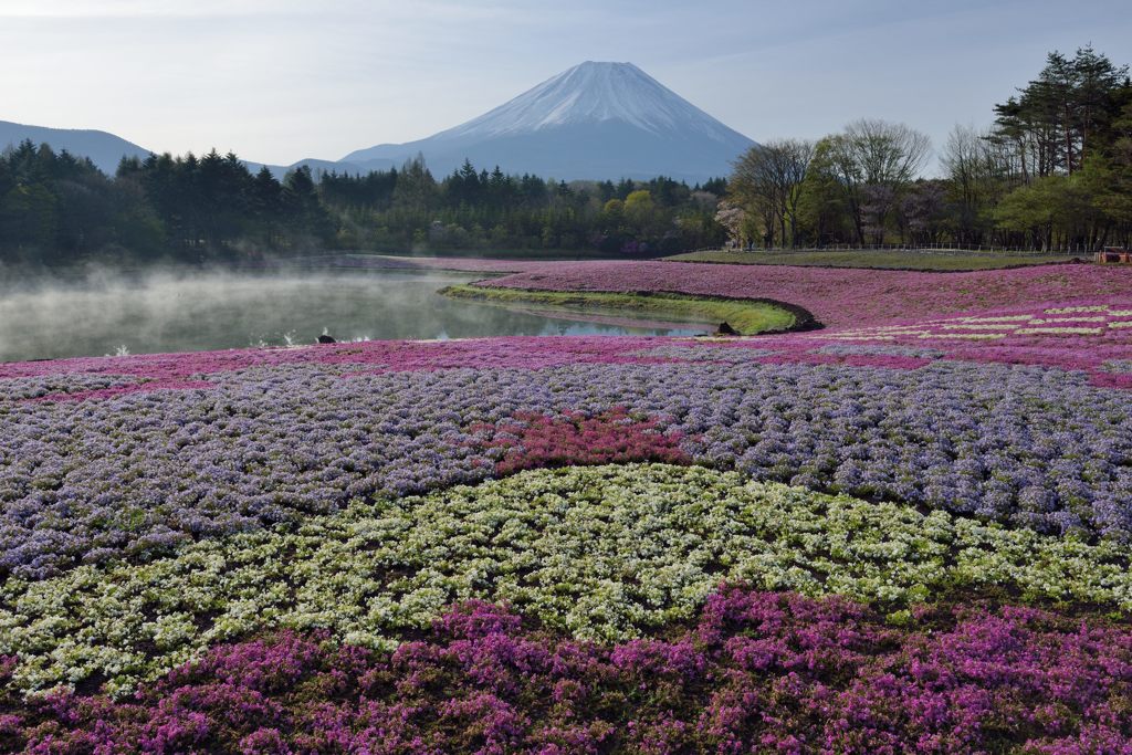週末の富士山（新作1190）