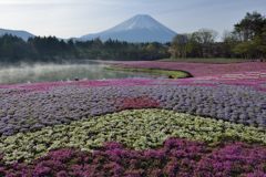 週末の富士山（新作1190）