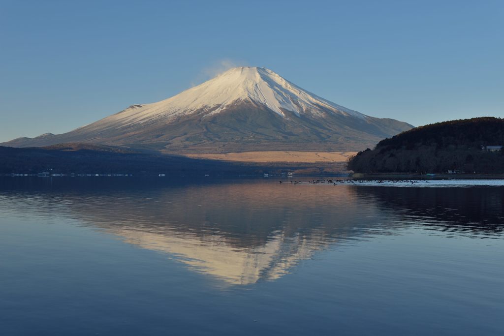 平日の富士山596