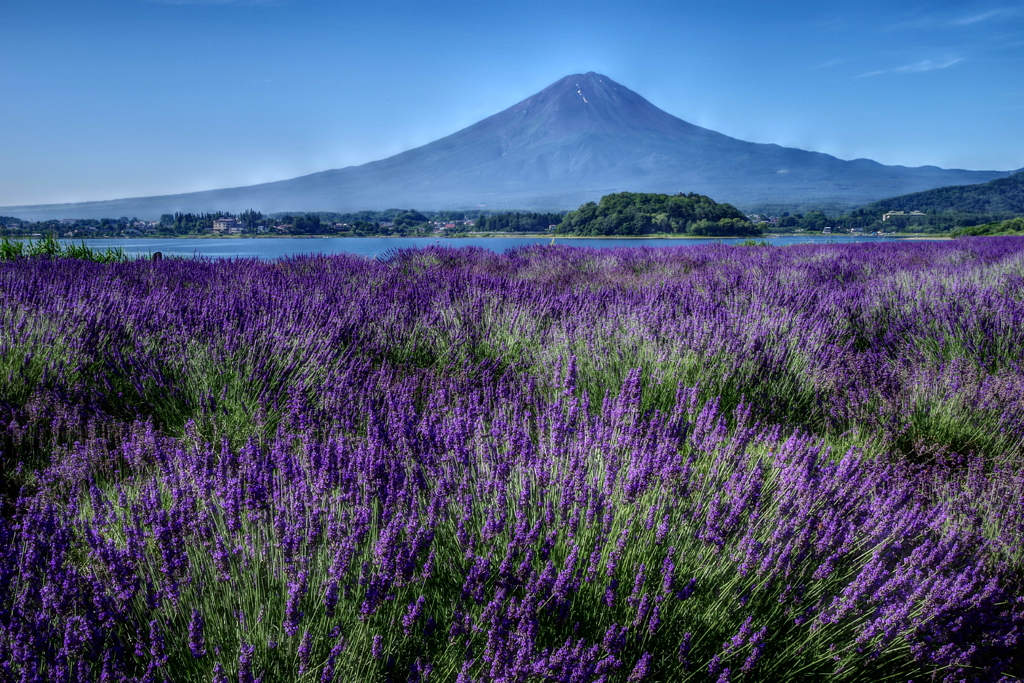 平日の富士山65