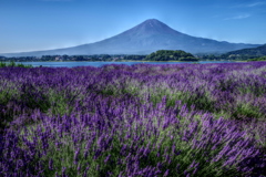 平日の富士山65
