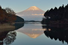 平日の富士山438