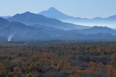 平日の富士山832