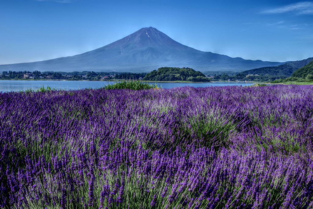 平日の富士山64