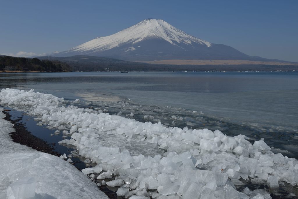 週末の富士山（新作811）