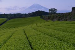 週末の富士山（新作843）