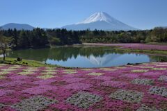 平日の富士山720