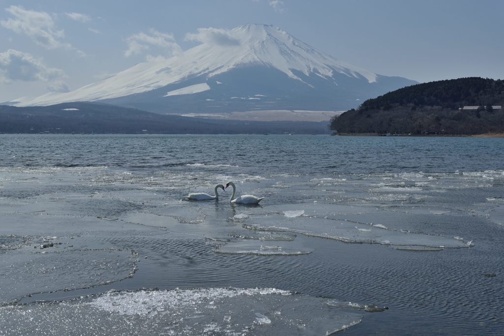 週末の富士山（新作172）