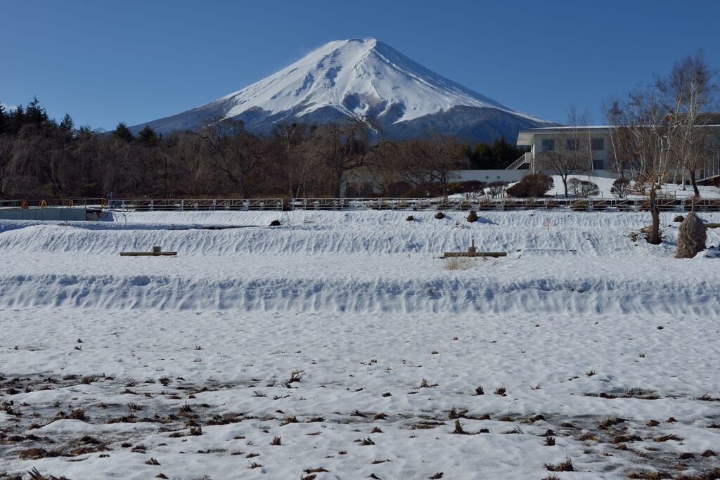 週末の富士山（新作1218）