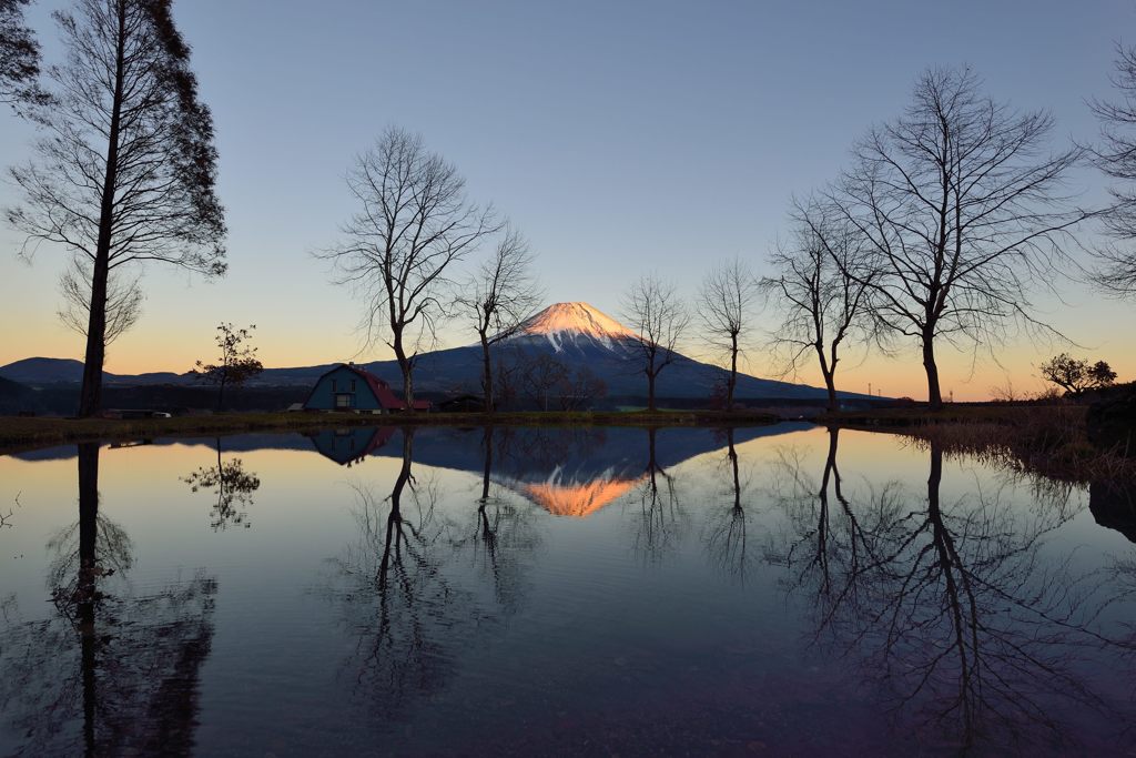 平日の富士山474