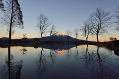 平日の富士山474