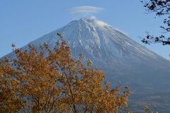 平日の富士山881