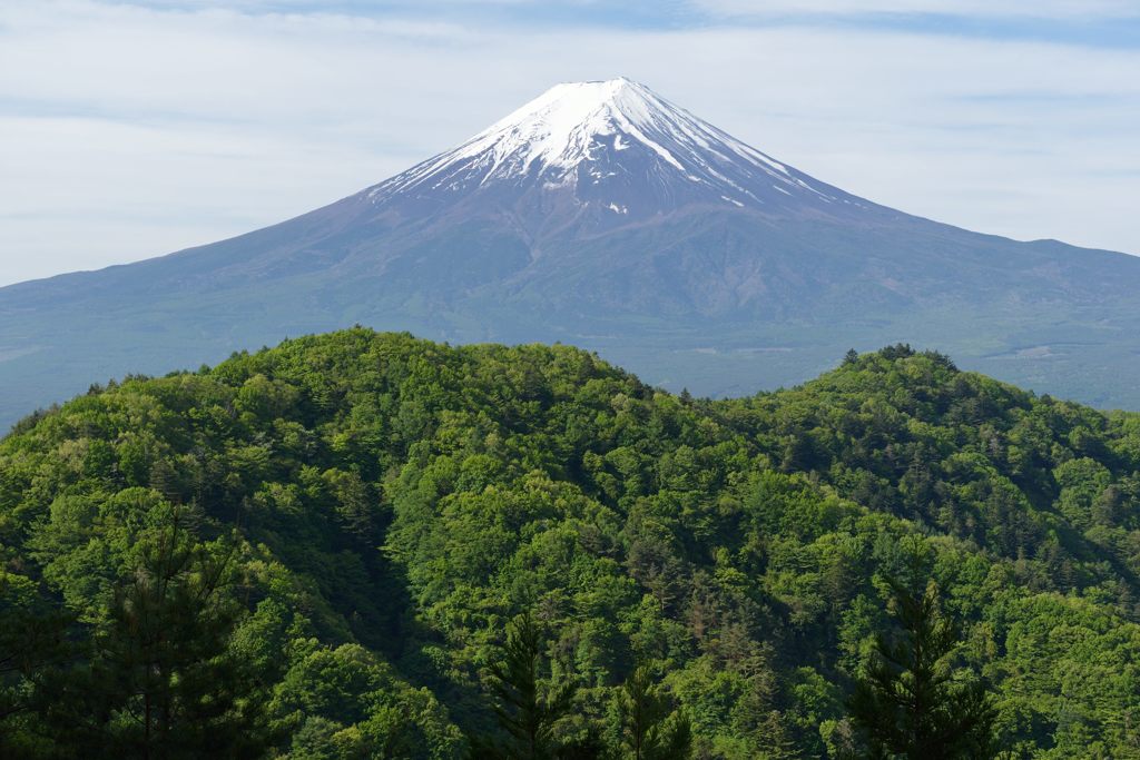 週末の富士山（新作885）
