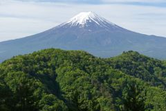 週末の富士山（新作885）