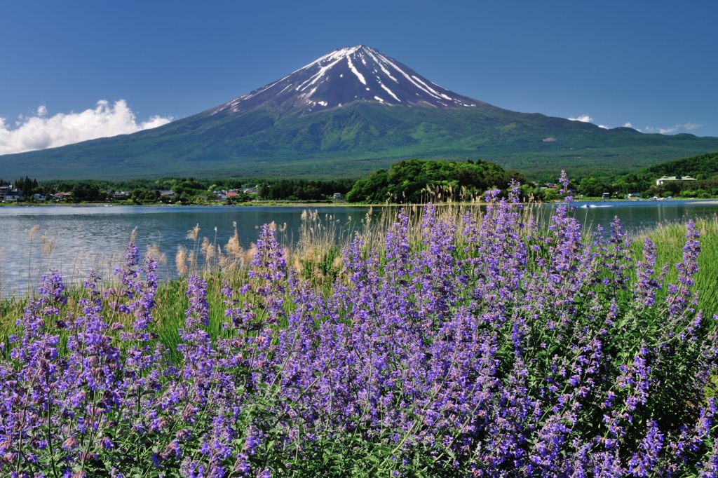 週末の富士山（新作236）