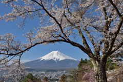 週末の富士山（新作1160）