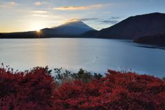 週末の富士山（新作674）