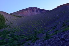 週末の富士山（新作268）